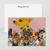 Hunde sind Spaß Postkarte (Vorne/Hinten)