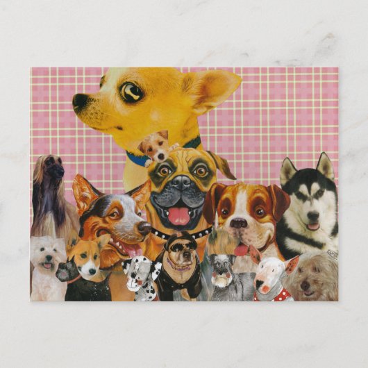 Hunde sind Spaß Postkarte (Vorderseite)