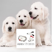 Hunde Sitter Haustiere Service Groomen Niedlich sü Quadratische Visitenkarte