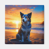 Hunde sitzen am Ocean Beach bei Sunset Magnet (Vorne)