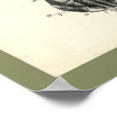 Hunde Skelett Wirbelsäule Muskeln Anatomie Druck Poster (Ecke)