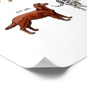 Hunde Sketches Poster (Ecke)