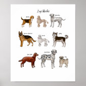 Hunde Sketches Poster (Vorne)