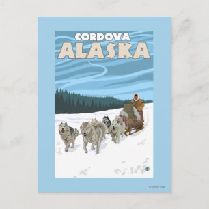 Hunde-Sledding-Szene - Cordova, Alaska Postkarte