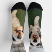 Hunde Socken (Oben)
