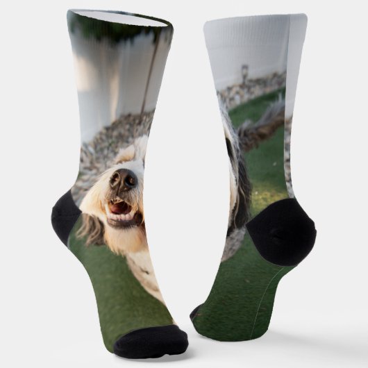 Hunde Socken (Gewinkelt)