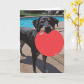 Hunde spielen Frisbee Schwimmbad Karte (Gelbe Blume)