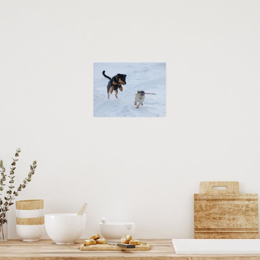 Hunde spielen im Schnee Poster (Küche)