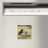 Hunde spielen magnet (In Situ (Geschirrspüler))