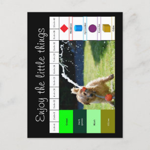 Hunde spielen mit Wasser Postkarte