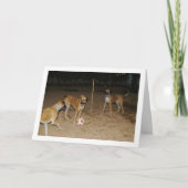 Hunde spielen nachts Fußball Karte (Vorderseite)