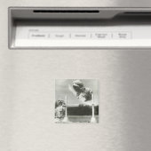 Hunde springen über miniaturhochspringende Bar Magnet (In Situ (Geschirrspüler))