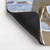 Hunde springen, um einen Schmutz am Strand zu fang Mousepad (Ecke)