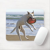 Hunde springen, um einen Schmutz am Strand zu fang Mousepad (Mit Mouse)