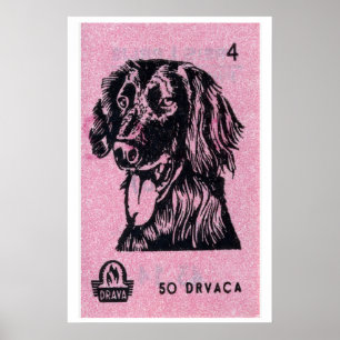 Hunde-Streichholzschachtel-Kunstprint, kroatische Poster