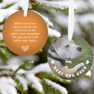 Hunde-Tier-Gedicht-Foto-Orange-Andenken Ornament