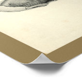 Hunde tierärztlicher Schädel Muskelanatomie Druck Poster (Ecke)