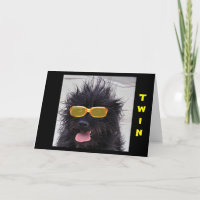 HUNDE TRAGEN COOLE SUNGLASSEN GLÜCKLICH GEBURTSTAG