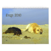Hunde tragen für 2010 ein kalender (Titelbild)
