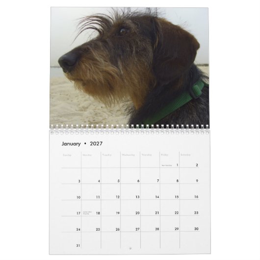 Hunde tragen für 2010 ein kalender (Jan 2027)