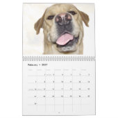 Hunde tragen für 2010 ein kalender (Feb 2027)
