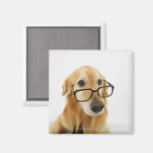 Hunde tragen Krawatte und Brille auf dem Stuhl sit Magnet (Vorderseite/Rückseite)