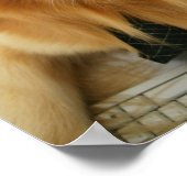 Hunde tragen Krawatte und Brille auf dem Stuhl sit Poster (Ecke)