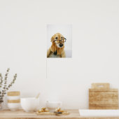 Hunde tragen Krawatte und Brille auf dem Stuhl sit Poster (Küche)