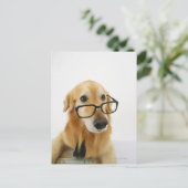 Hunde tragen Krawatte und Brille auf dem Stuhl sit Postkarte (Stehend Vorderseite)