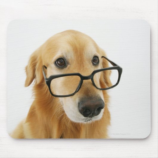 Hunde tragen Krawatte und Brille auf Stuhl sitzen Mousepad (Vorne)