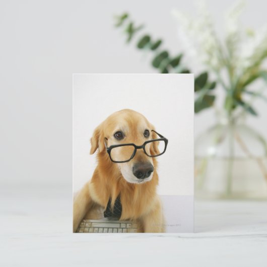 Hunde tragen Krawatte und Brille auf Stuhl sitzen Postkarte (Stehend Vorderseite)