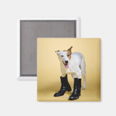 Hunde tragen Stiefel Magnet (Vorderseite/Rückseite)