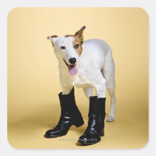 Hunde tragen Stiefel Quadratischer Aufkleber