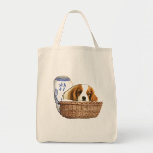 Hunde Tragetasche (Vorne)