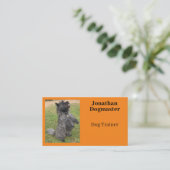 Hunde Trainer Foto Orange Citrus Hintergrund Minim Visitenkarte (Stehend Vorderseite)