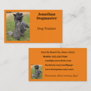 Hunde Trainer Foto Orange Citrus Hintergrund Minim Visitenkarte