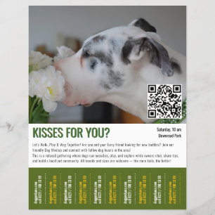 Hunde-Treffpunkt-Abriss-Flugblattvorlage Flyer