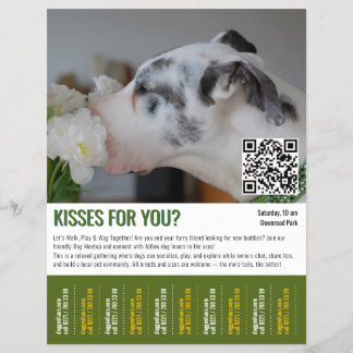 Hunde-Treffpunkt-Abriss-Flugblattvorlage Flyer