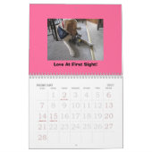 Hunde-u. Katzen-Kalender Kalender (Feb 2027)