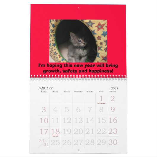 Hunde-u. Katzen-Kalender Kalender (Jan 2027)