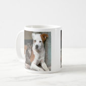 Hunde-u. Katzen-Tasse Kaffeetasse (Vorderseite Links)