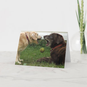 Hunde und Ball Geburtstagskarte Karte