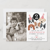 Hunde und Black Balloon Foto zum Geburtstag einlad Einladung (Vorderseite)