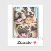 Hunde und ein Cat Group-Foto Aufkleber (Blatt)