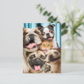 Hunde und ein Cat Group-Foto Einladungspostkarte (Stehend Vorderseite)