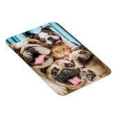 Hunde und ein Cat Group-Foto Magnet (Rechte Seite)