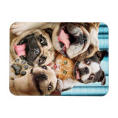 Hunde und ein Cat Group-Foto Magnet (Horizontal)