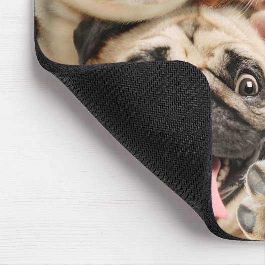Hunde und ein Cat Group-Foto Mousepad (Ecke)
