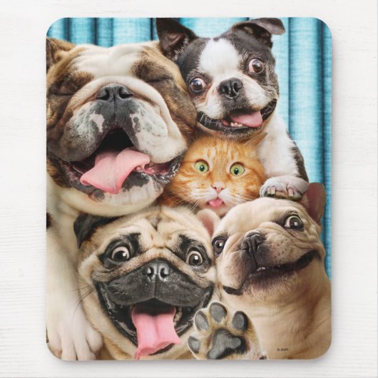 Hunde und ein Cat Group-Foto Mousepad (Vorne)