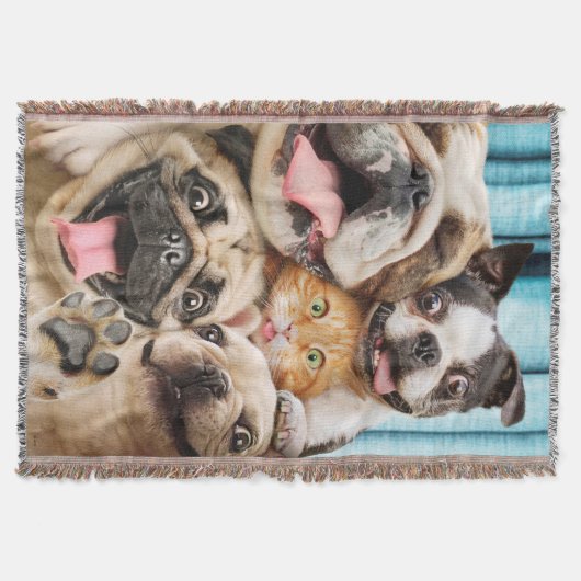 Hunde und ein Foto der Katzengruppe Decke (Vorderseite)